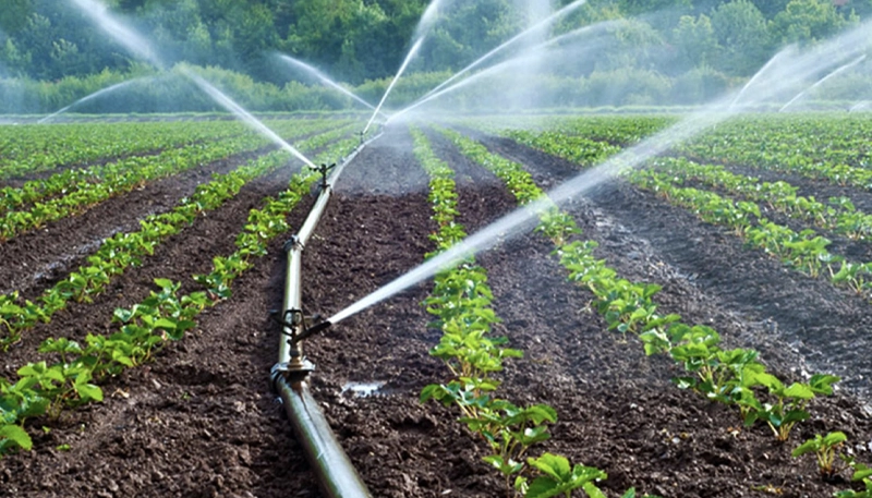 قیمت پمپ آبیاری قطره‌ای